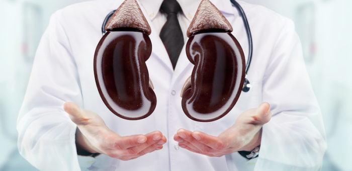 Keeping Your Kidney Healthy